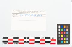 Etikett zu Eisenkonvolut (NHMW-PRAE-094301)